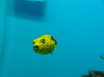 DSC02060.JPG