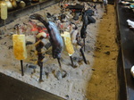 DSC02203.JPG