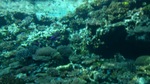 DSC_0564.jpg